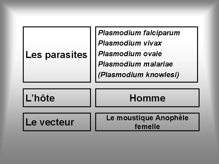 Les parasites L’hôte Le vecteur Plasmodium falciparum Plasmodium vivax Plasmodium ovale Plasmodium malariae (Plasmodium