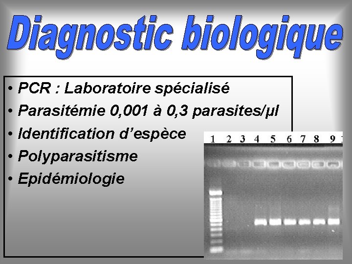  • PCR : Laboratoire spécialisé • Parasitémie 0, 001 à 0, 3 parasites/µl