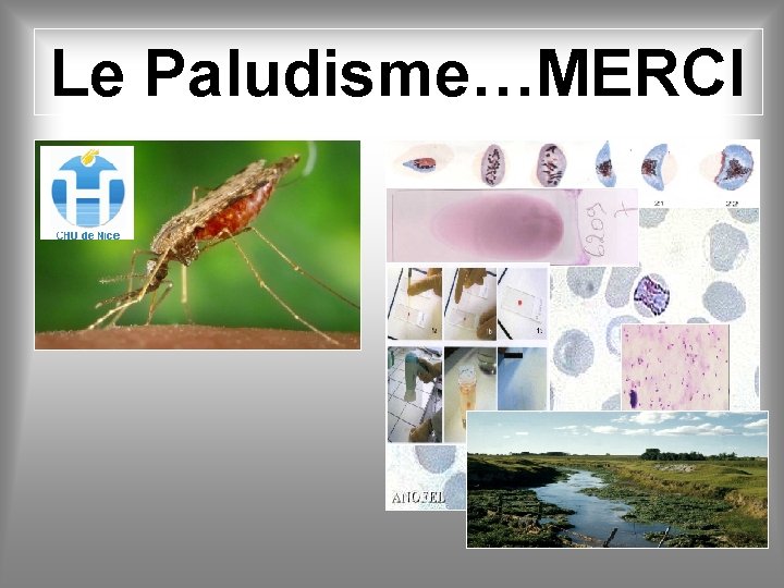 Le Paludisme…MERCI 