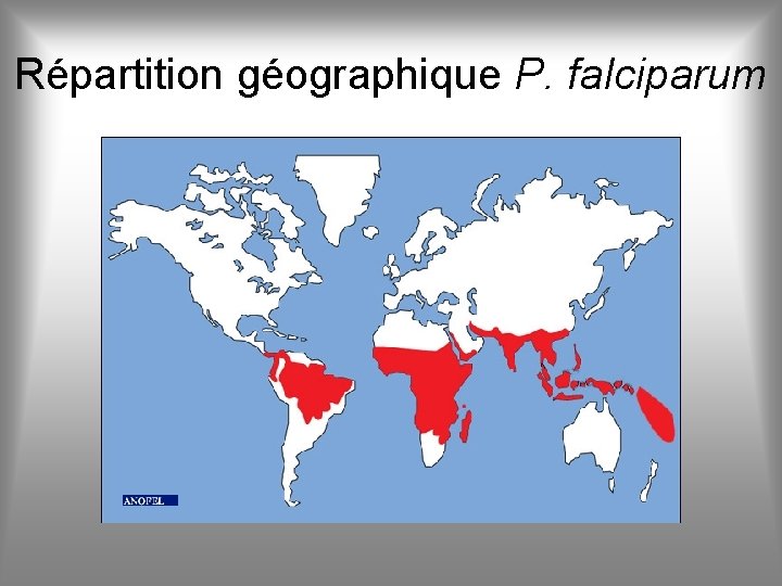 Répartition géographique P. falciparum 