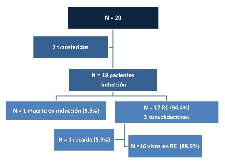 N = 20 2 transferidos N = 18 pacientes inducción N = 1 muerte