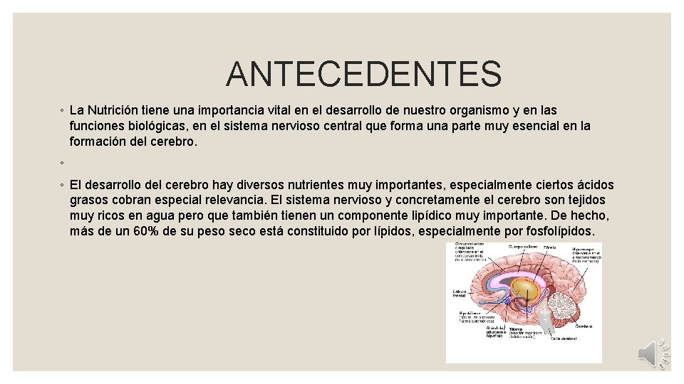  ANTECEDENTES ◦ La Nutrición tiene una importancia vital en el desarrollo de nuestro