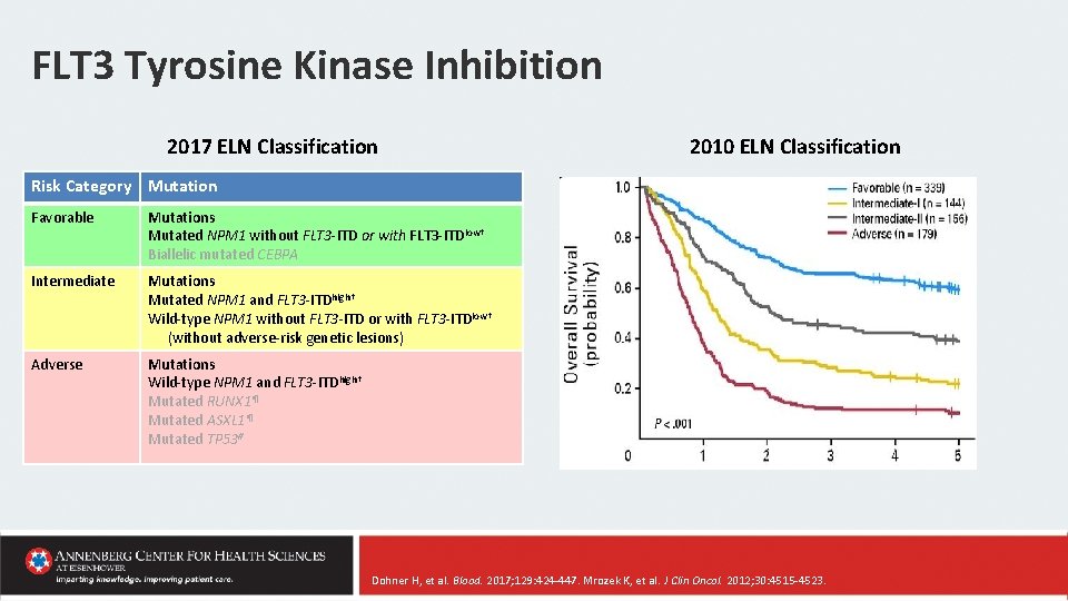 FLT 3 Tyrosine Kinase Inhibition 2017 ELN Classification 2010 ELN Classification Risk Category Mutation