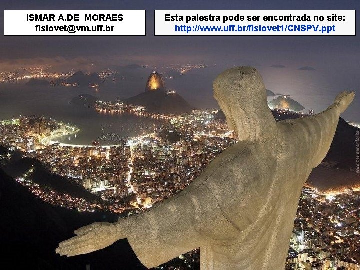 ISMAR A. DE MORAES fisiovet@vm. uff. br Esta palestra pode ser encontrada no site: