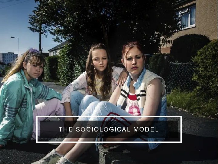 THE SOCIOLOGICAL MODEL 