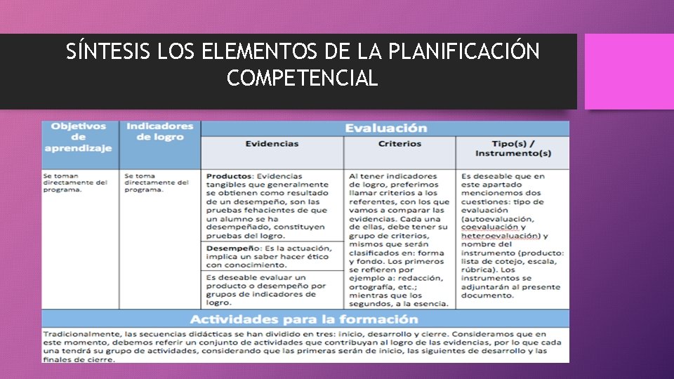 SÍNTESIS LOS ELEMENTOS DE LA PLANIFICACIÓN COMPETENCIAL 
