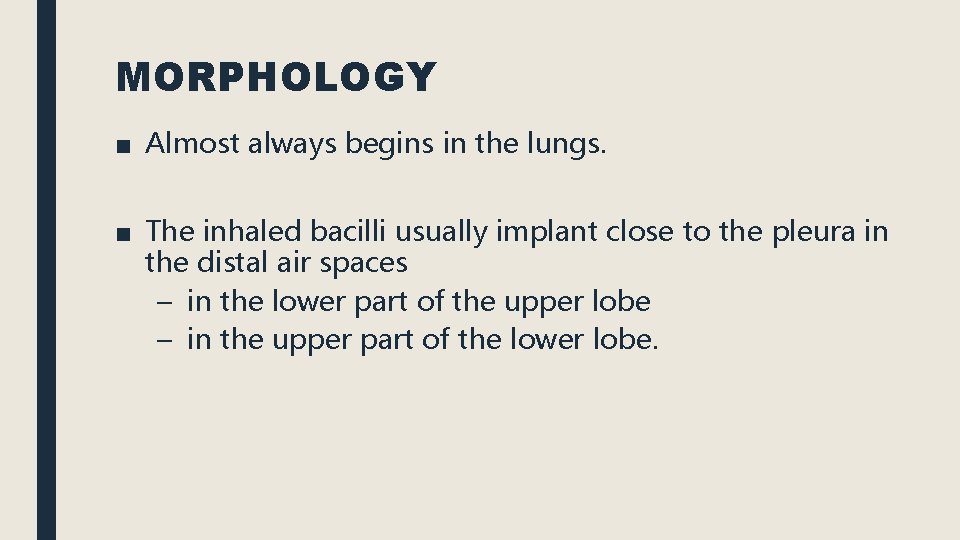 MORPHOLOGY ■ Almost always begins in the lungs. ■ The inhaled bacilli usually implant