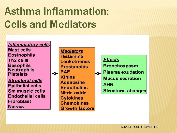 Asthma Inflammation: Cells and Mediators Source: Peter J. Barnes, MD 