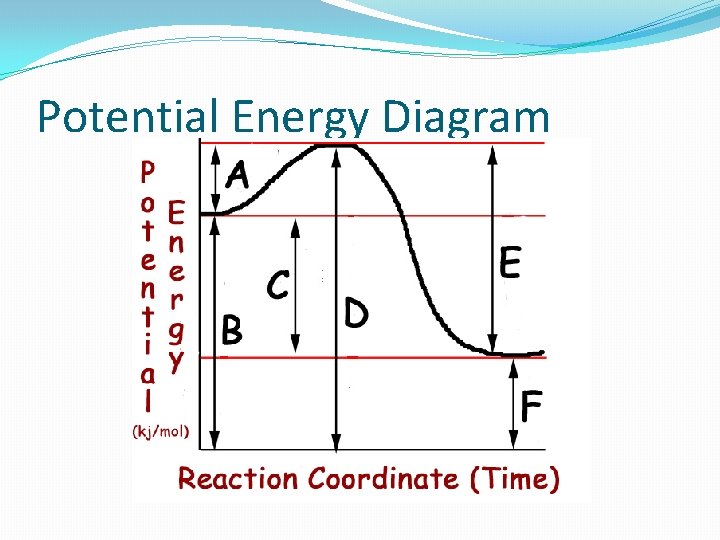 Potential Energy Diagram 