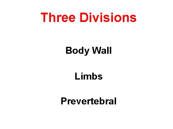 Three Divisions Body Wall Limbs Prevertebral 