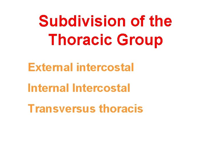 Subdivision of the Thoracic Group External intercostal Internal Intercostal Transversus thoracis 