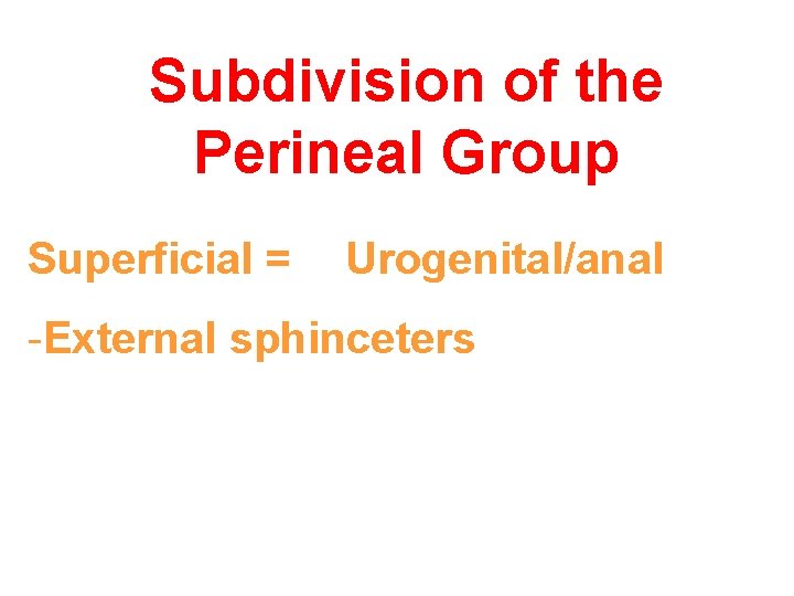 Subdivision of the Perineal Group Superficial = Urogenital/anal -External sphinceters 