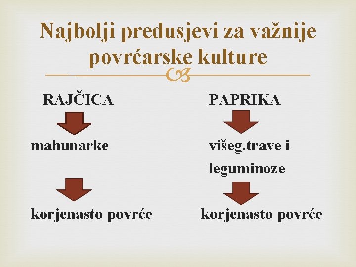 Najbolji predusjevi za važnije povrćarske kulture RAJČICA mahunarke korjenasto povrće PAPRIKA višeg. trave i