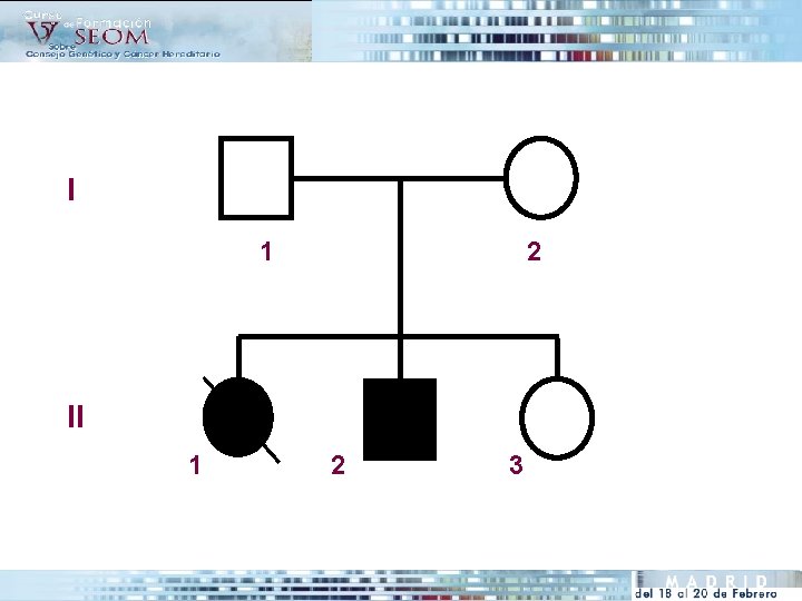 I 1 2 II 1 2 3 