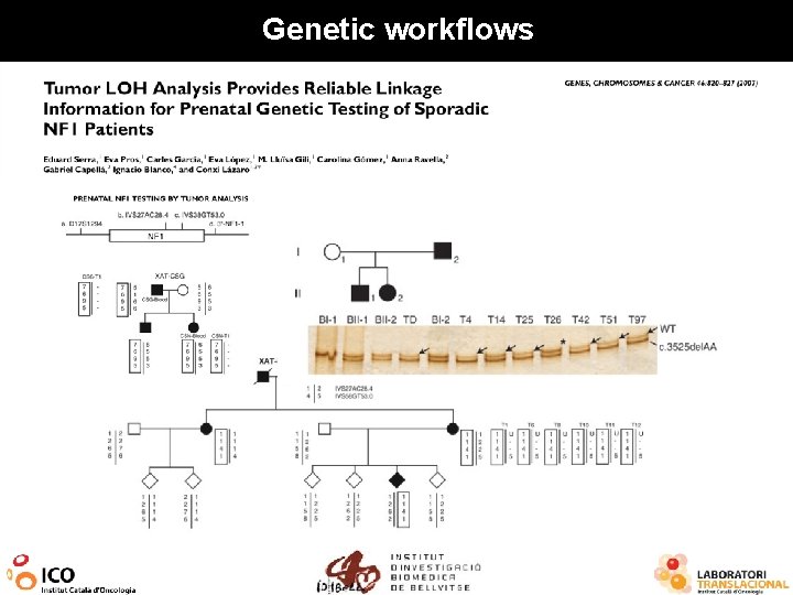 Genetic workflows 