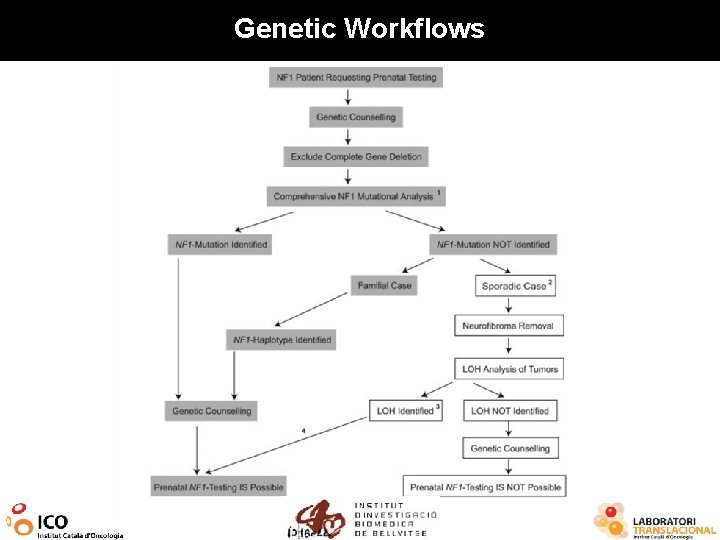 Genetic Workflows 