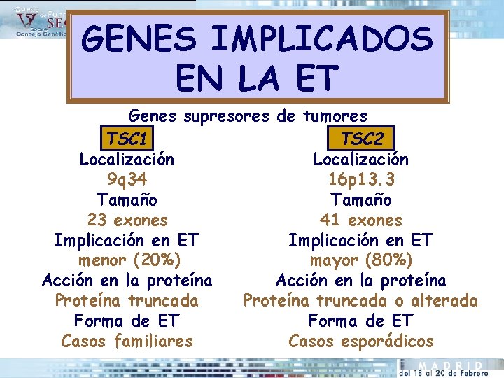 GENES IMPLICADOS EN LA ET Genes supresores de tumores TSC 1 TSC 2 Localización
