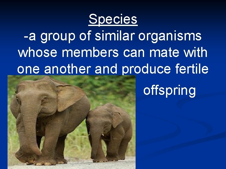 Species -a group of similar organisms whose members can mate with one another and