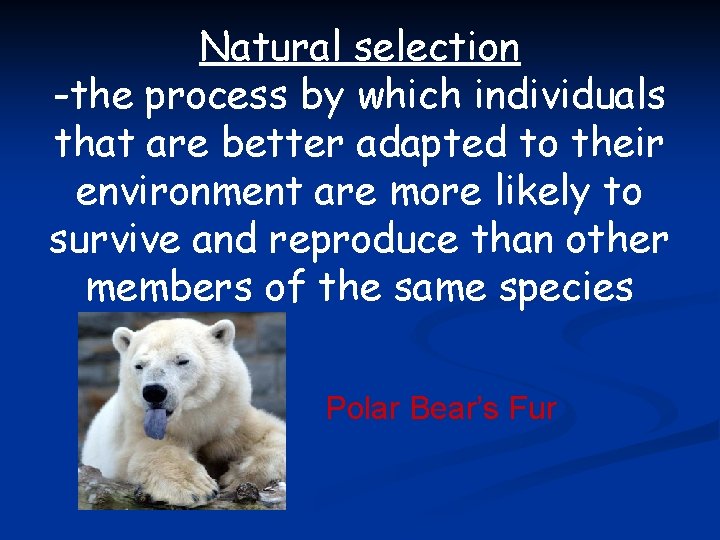 Natural selection -the process by which individuals that are better adapted to their environment