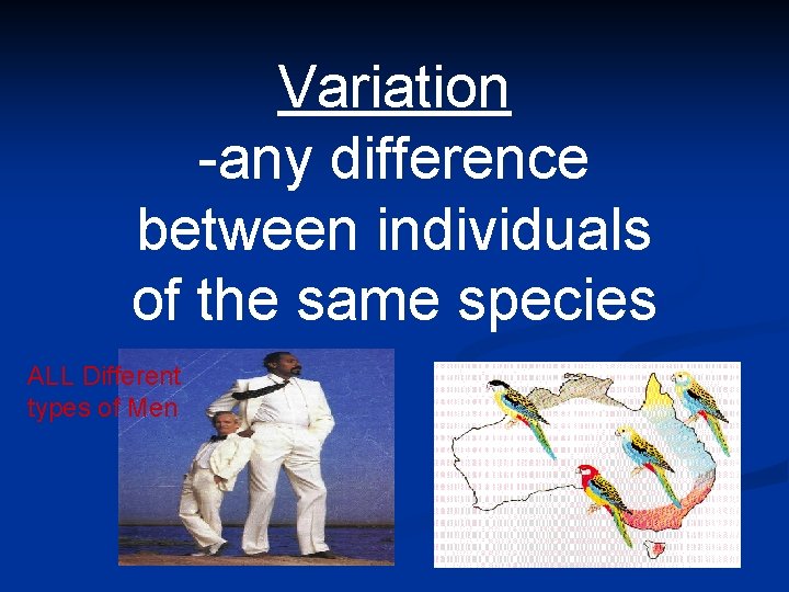 Variation -any difference between individuals of the same species ALL Different types of Men