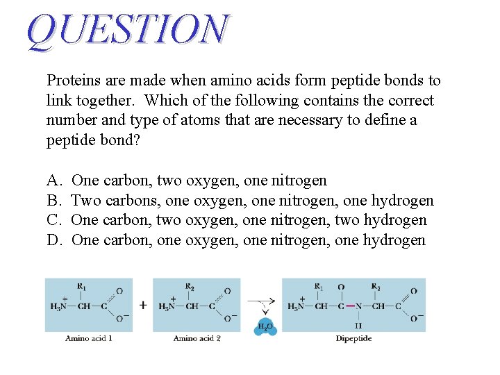 QUESTION Proteins are made when amino acids form peptide bonds to link together. Which