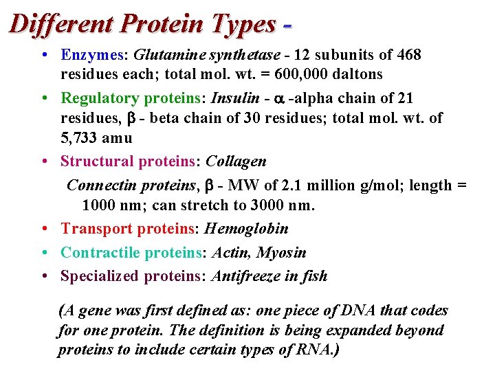 Different Protein Types • Enzymes: Glutamine synthetase - 12 subunits of 468 residues each;