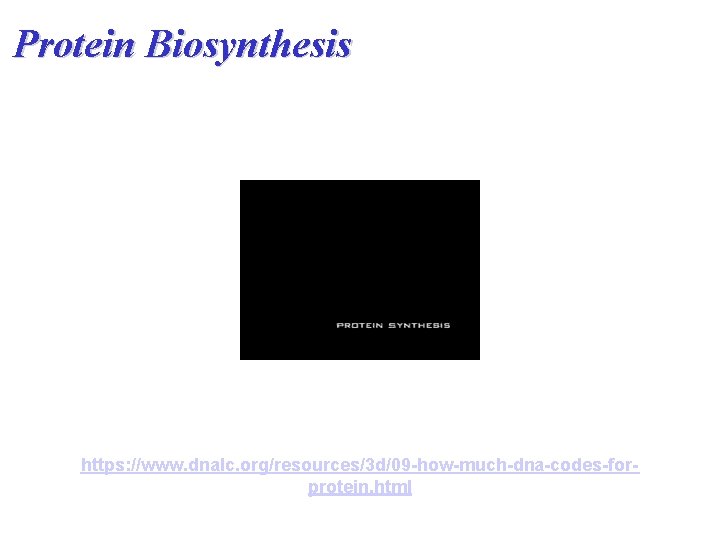 Protein Biosynthesis https: //www. dnalc. org/resources/3 d/09 -how-much-dna-codes-forprotein. html 