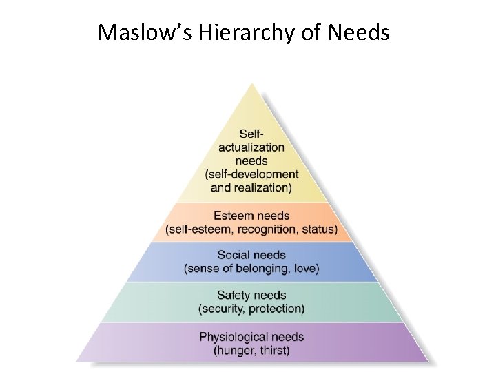 Maslow’s Hierarchy of Needs Maslow’s Hierarchy of Needs