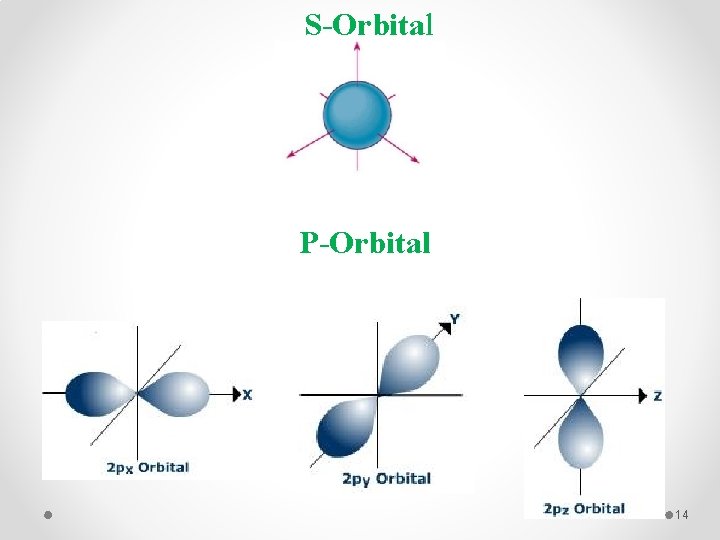 S-Orbital P-Orbital 14 