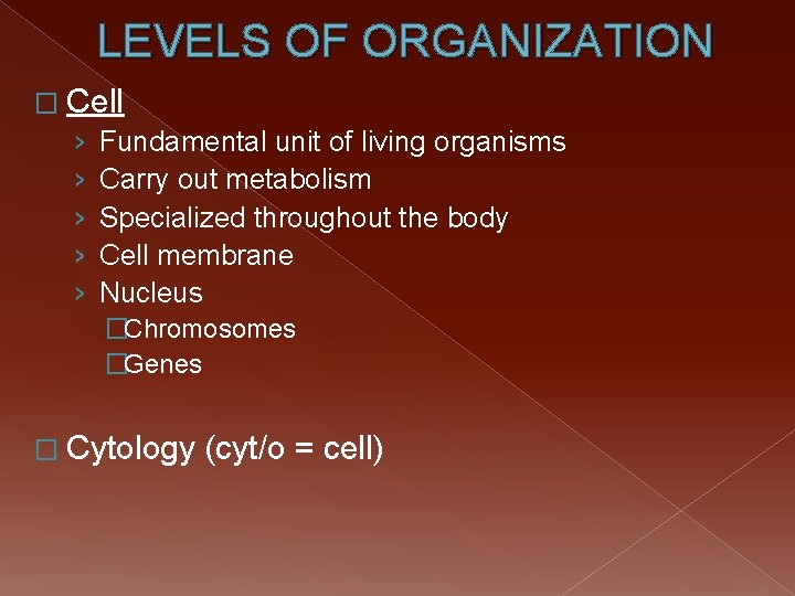 LEVELS OF ORGANIZATION � Cell › Fundamental unit of living organisms › Carry out