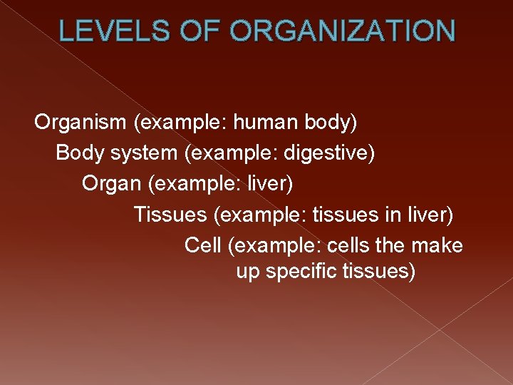 LEVELS OF ORGANIZATION Organism (example: human body) Body system (example: digestive) Organ (example: liver)