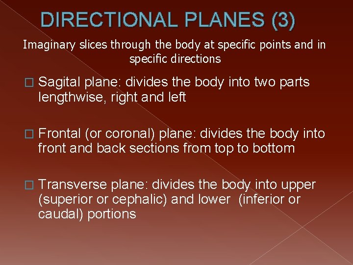 DIRECTIONAL PLANES (3) Imaginary slices through the body at specific points and in specific