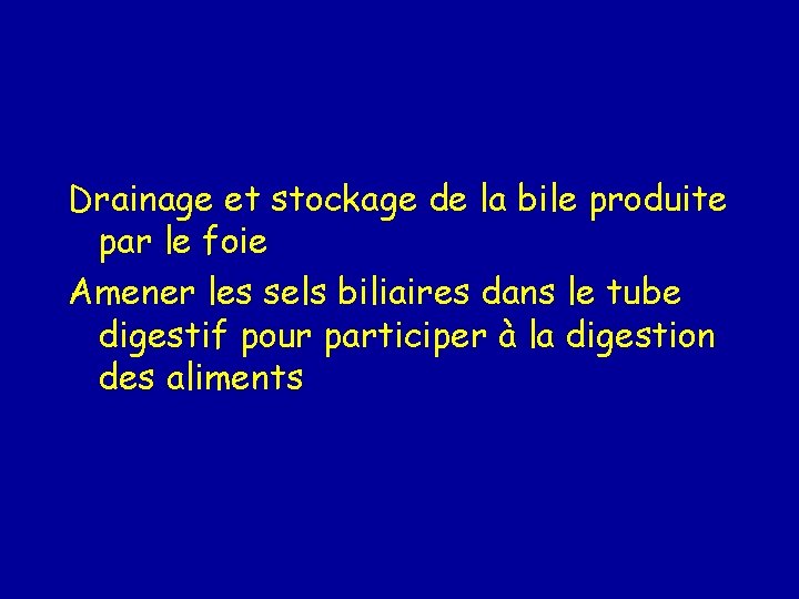 Drainage et stockage de la bile produite par le foie Amener les sels biliaires