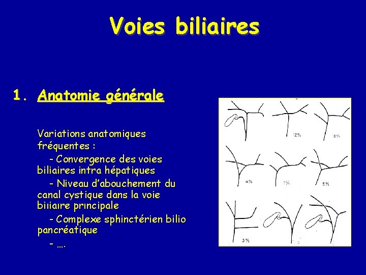 Voies biliaires 1. Anatomie générale Variations anatomiques fréquentes : - Convergence des voies biliaires