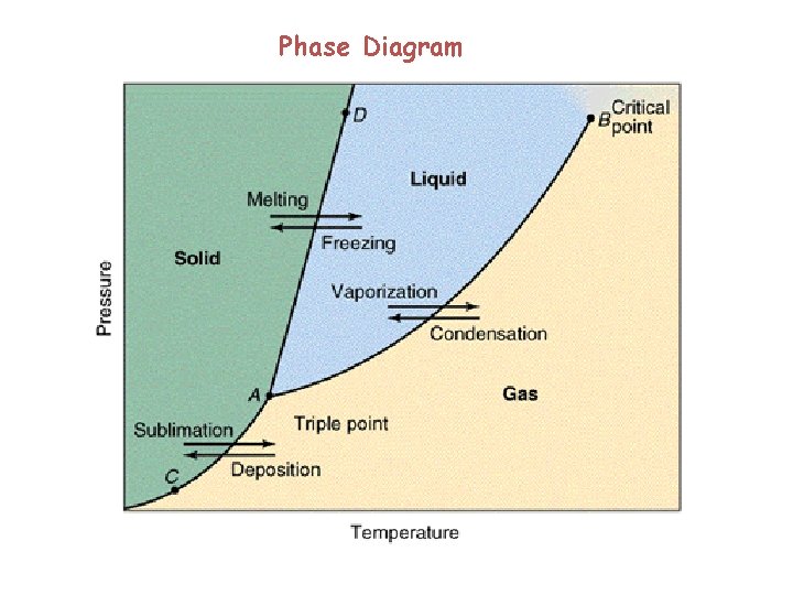 Phase Diagram 