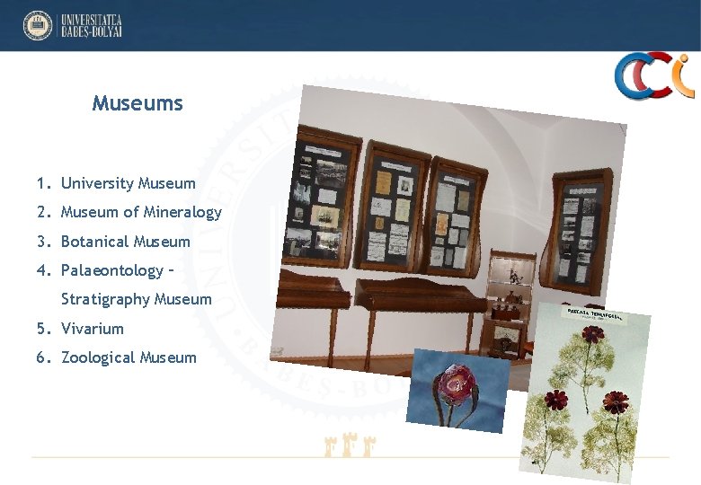 Museums 1. University Museum 2. Museum of Mineralogy 3. Botanical Museum 4. Palaeontology – Museums 1. University Museum 2. Museum of Mineralogy 3. Botanical Museum 4. Palaeontology –