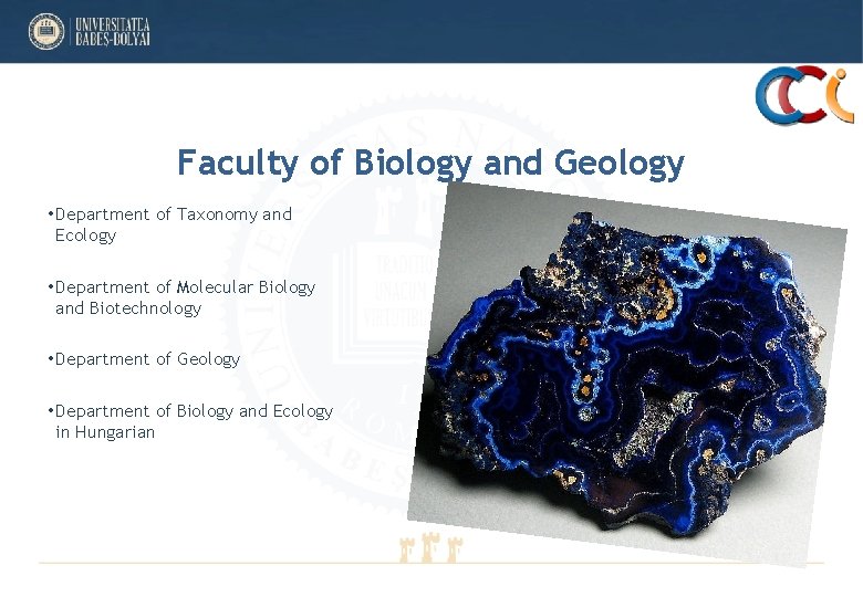 Faculty of Biology and Geology • Department of Taxonomy and Ecology • Department of Faculty of Biology and Geology • Department of Taxonomy and Ecology • Department of