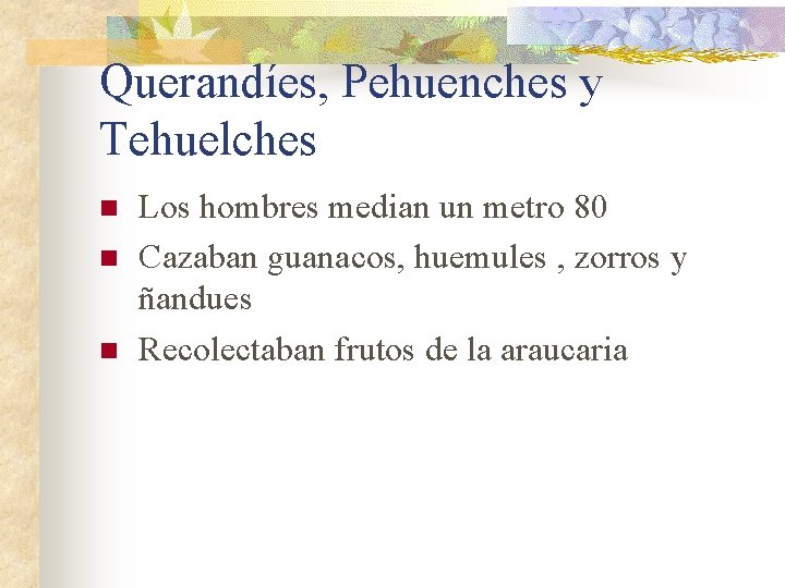 Querandíes, Pehuenches y Tehuelches n n n Los hombres median un metro 80 Cazaban