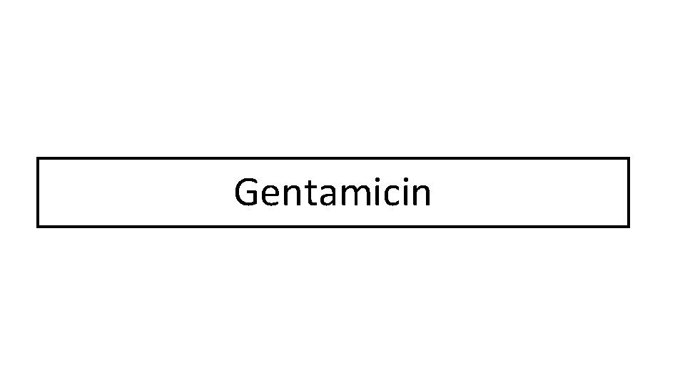 Gentamicin 