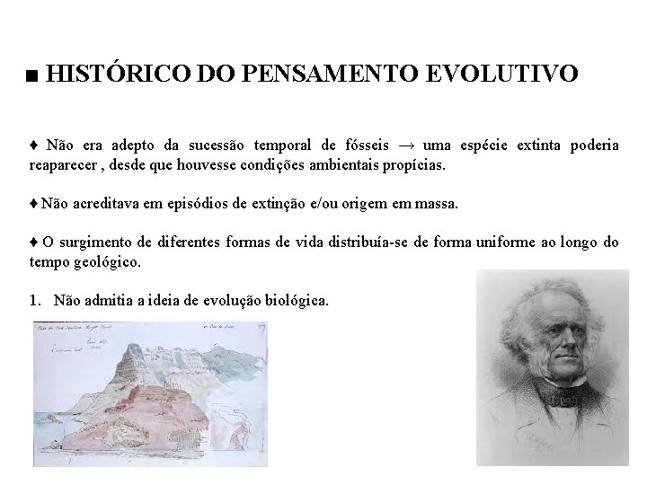 ■ HISTÓRICO DO PENSAMENTO EVOLUTIVO ♦ Não era adepto da sucessão temporal de fósseis