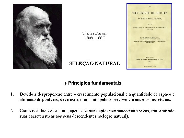 Charles Darwin (1809– 1882) SELEÇÃO NATURAL ♦ Princípios fundamentais 1. Devido à desproporção entre