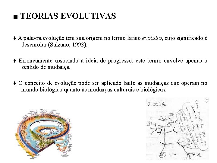 ■ TEORIAS EVOLUTIVAS ♦ A palavra evolução tem sua origem no termo latino evolutio,