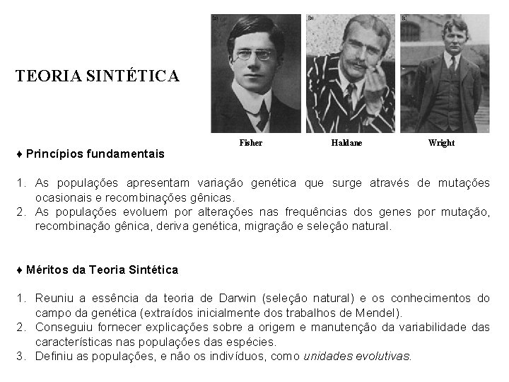 TEORIA SINTÉTICA ♦ Princípios fundamentais Fisher Haldane Wright 1. As populações apresentam variação genética