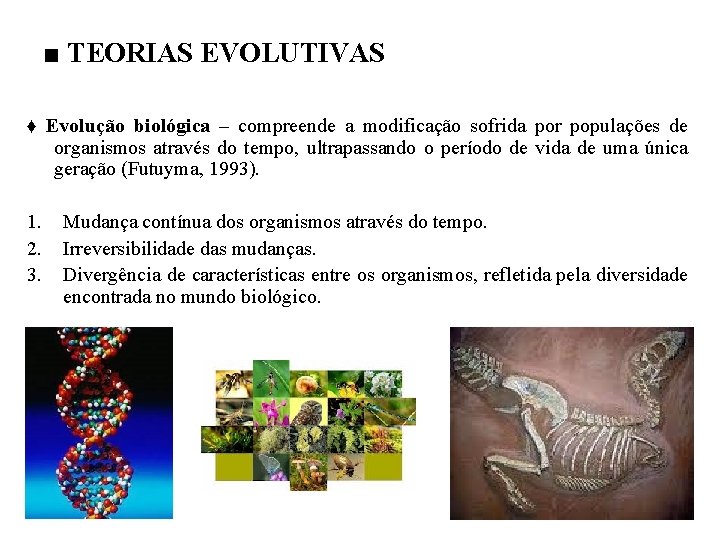 ■ TEORIAS EVOLUTIVAS ♦ Evolução biológica – compreende a modificação sofrida por populações de