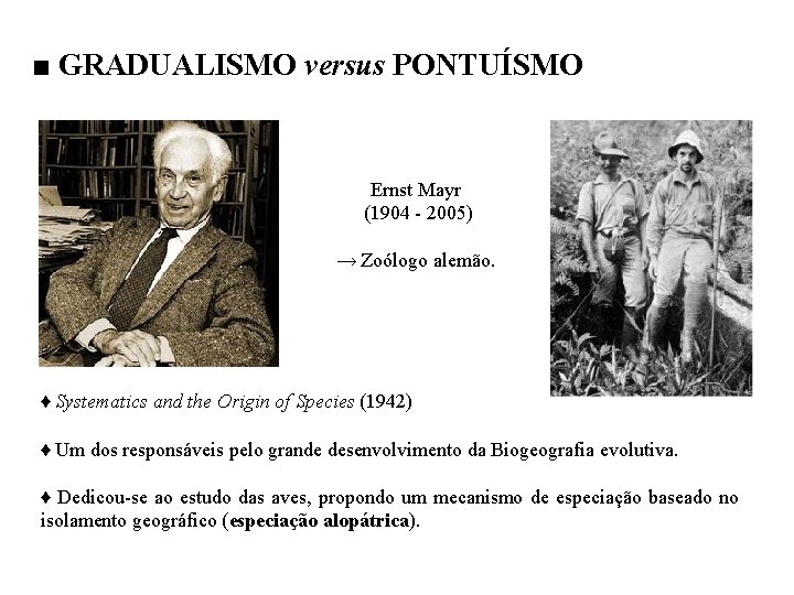 ■ GRADUALISMO versus PONTUÍSMO Ernst Mayr (1904 - 2005) → Zoólogo alemão. ♦ Systematics