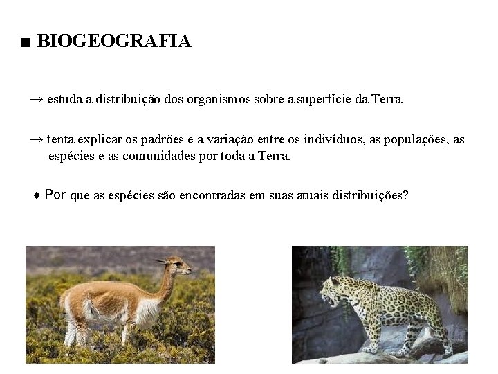 ■ BIOGEOGRAFIA → estuda a distribuição dos organismos sobre a superfície da Terra. →
