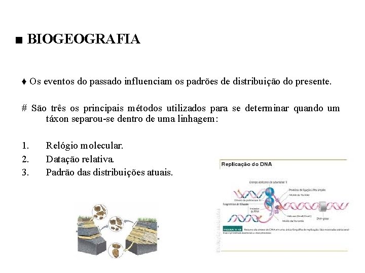 ■ BIOGEOGRAFIA ♦ Os eventos do passado influenciam os padrões de distribuição do presente.