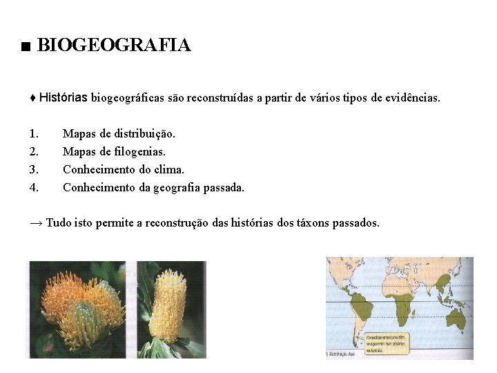 ■ BIOGEOGRAFIA ♦ Histórias biogeográficas são reconstruídas a partir de vários tipos de evidências.