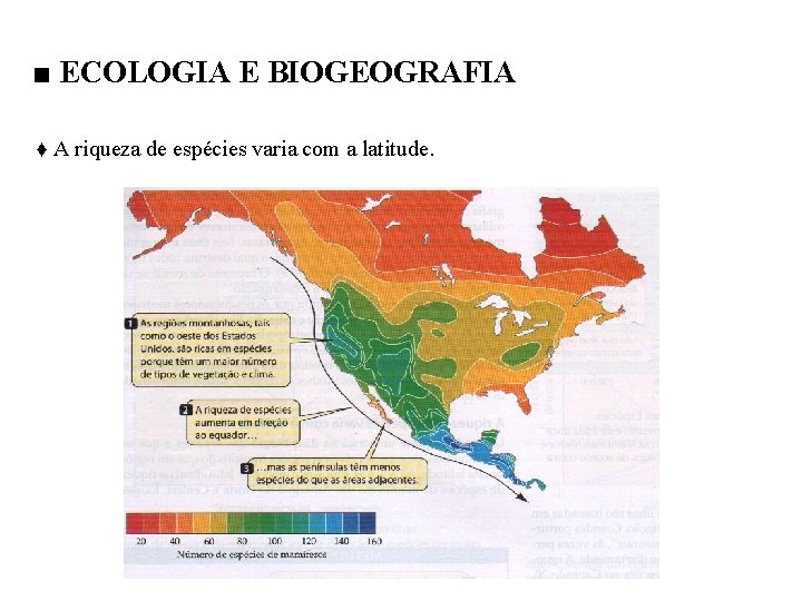 ■ ECOLOGIA E BIOGEOGRAFIA ♦ A riqueza de espécies varia com a latitude. 
