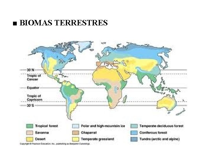 ■ BIOMAS TERRESTRES 